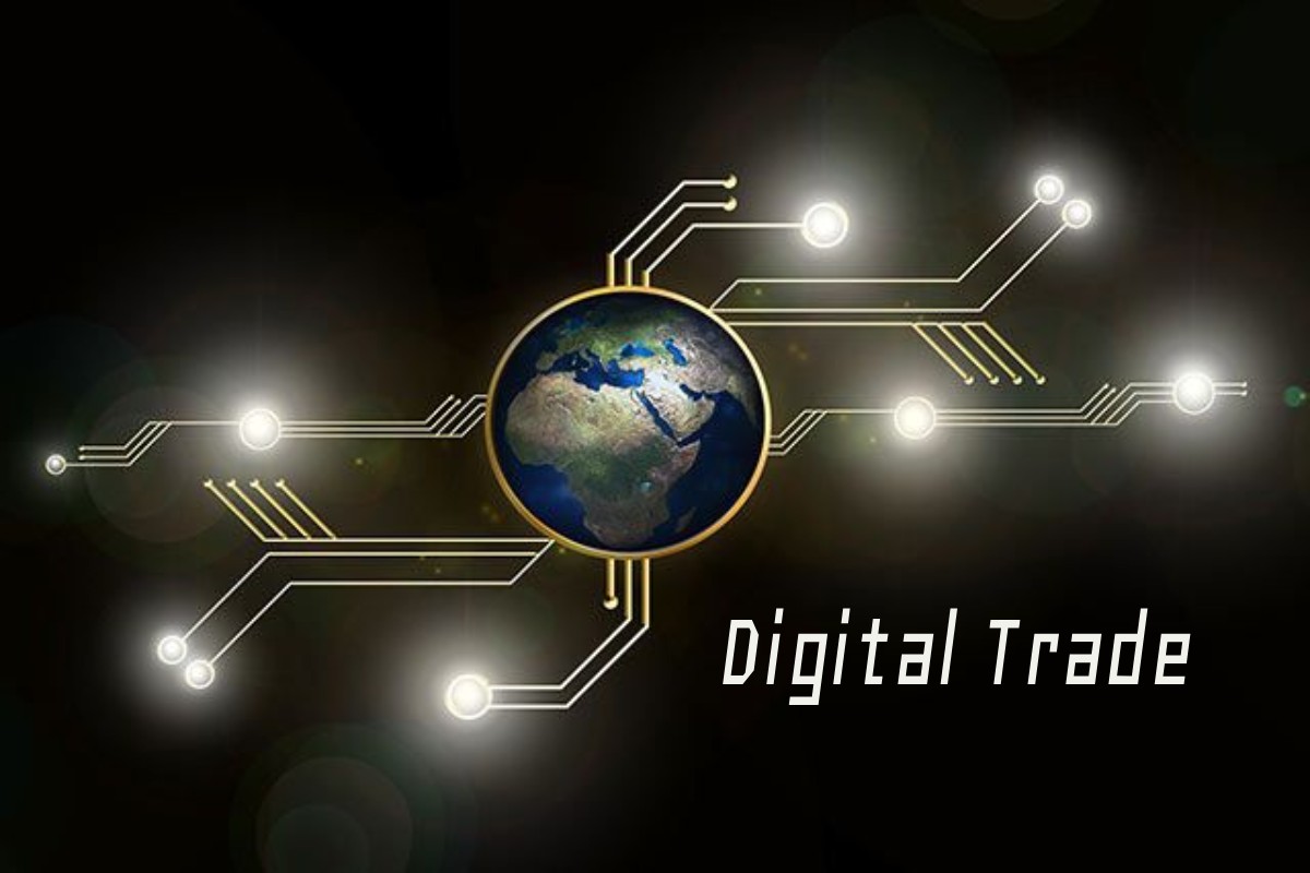 Digital trade and Impacts of Digitalization World-Wide