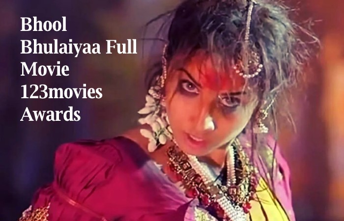 Bhool Bhulaiyaa Full Movie 123movies Awards