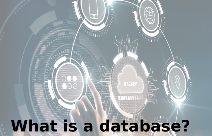 Types of databases (2)