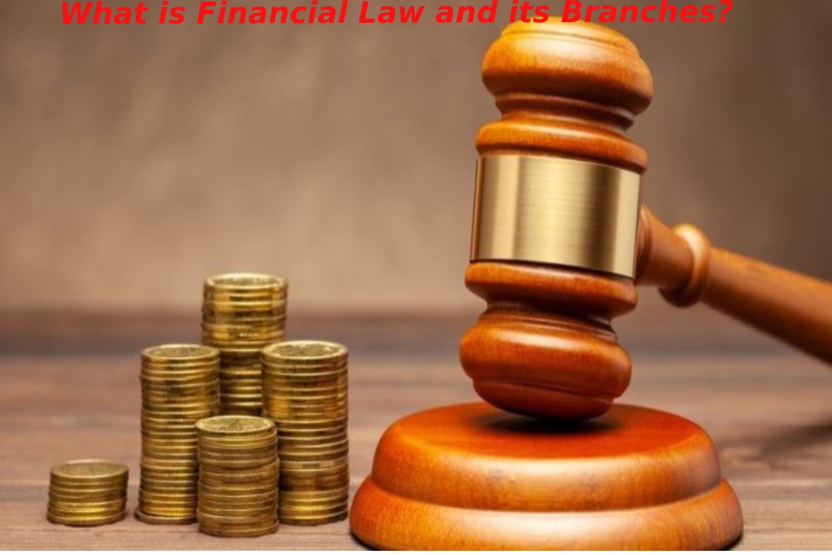 What is Financial Law and its Branches?