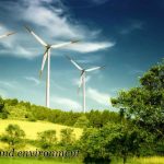 Trade and the Environment