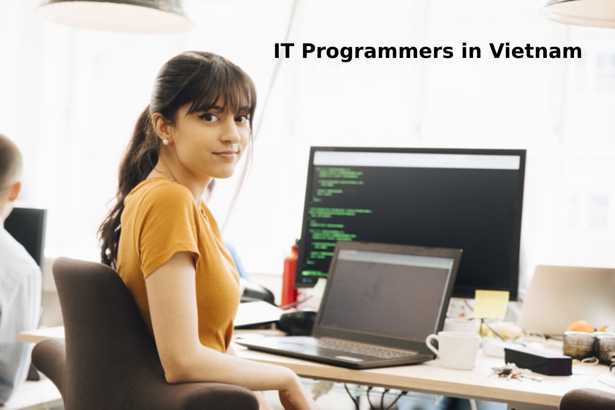 What Should We Know Before Using IT Programmers in Vietnam?