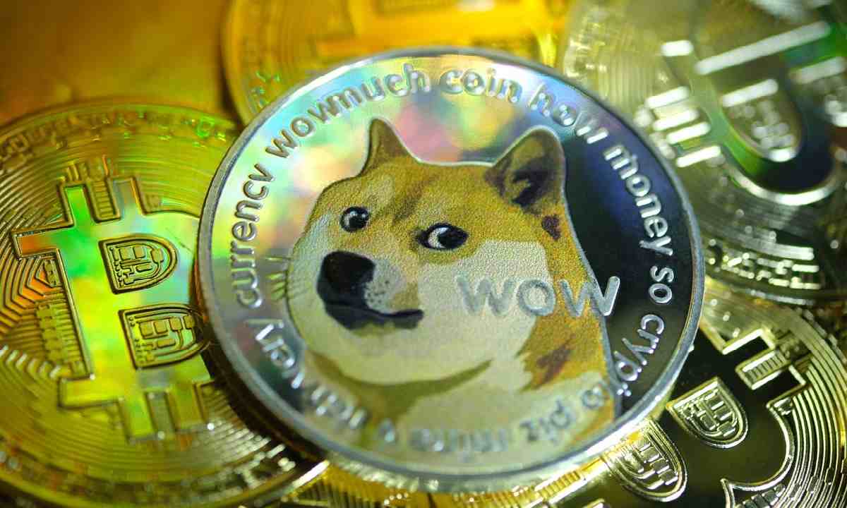  Should You Invest In The DogeCoin (DOGE)?