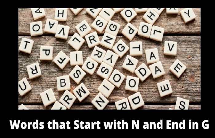 words that start with n and end with g