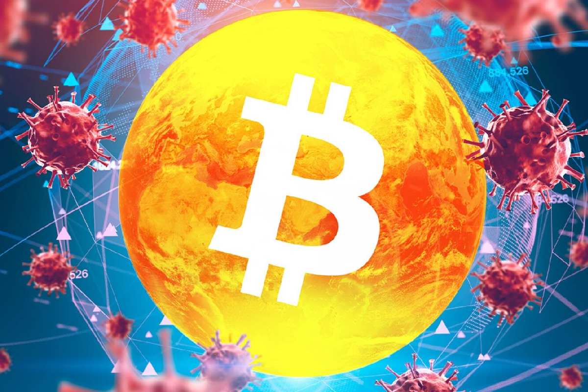 The Success Of Bitcoin Written In Pandemic