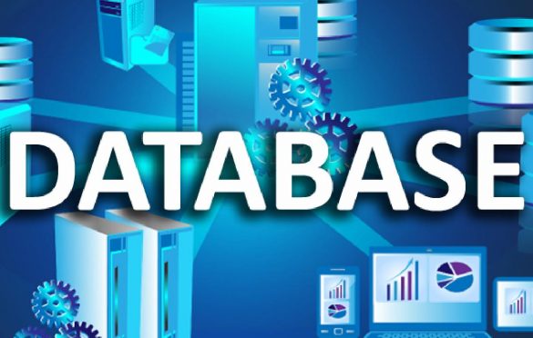 Business Database