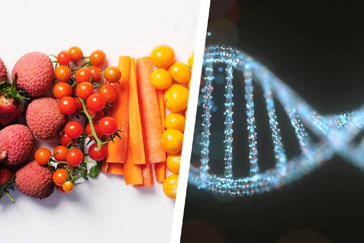 LEARN ABOUT THE DNA FOOD TESTING TECHNOLOGY THAT TRACES YOUR FOOD’S ORIGINS