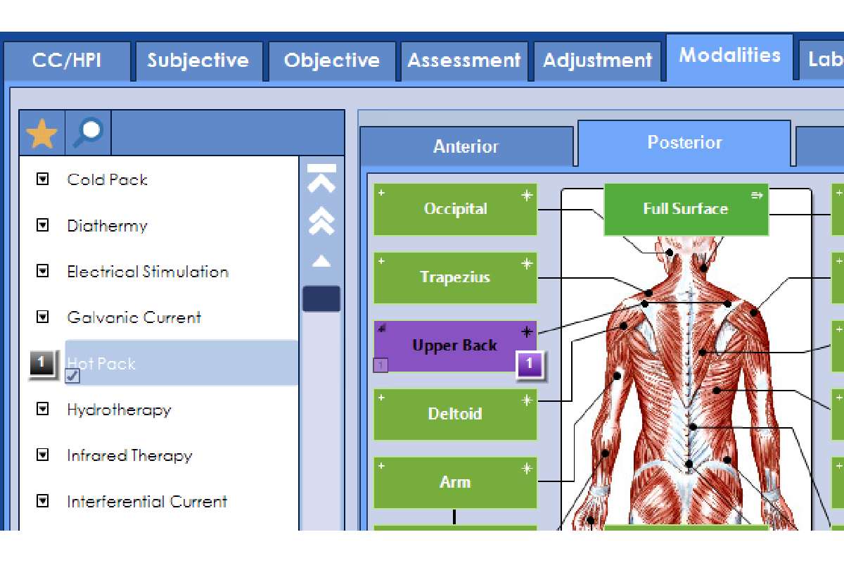 Chiropractic EHR: How This System Connects Doctors, Staff & Patients