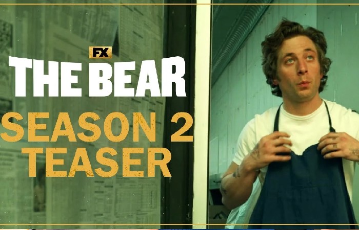 The Bear Season 2: Everything You Should Know