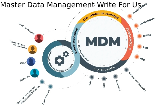 Master Data Management Write For Us