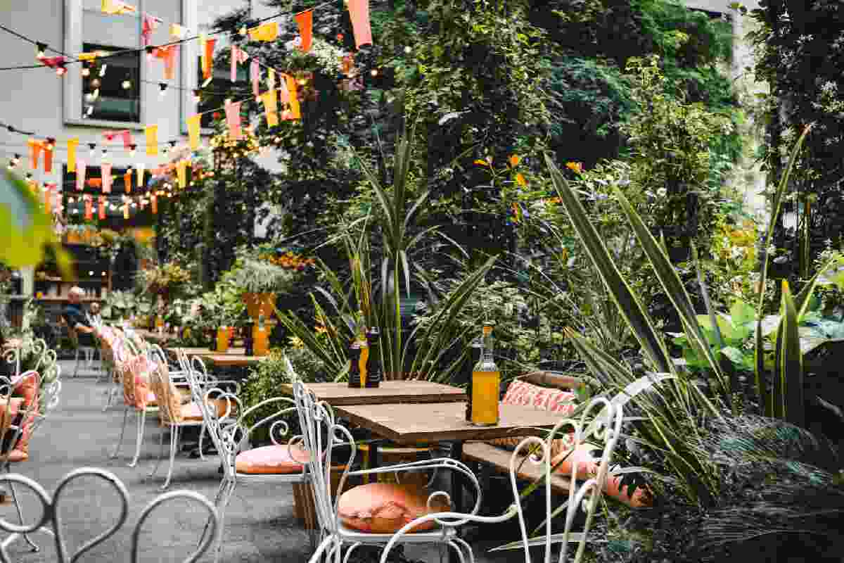 3 Effective Eco-Friendly Business Ideas for Restaurant and Bar Owners
