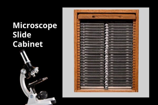 5 Key Features Every High-Quality Microscope Slide Cabinet Should Offer 