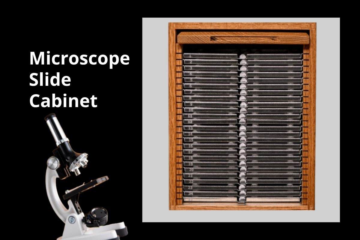 5 Key Features Every High-Quality Microscope Slide Cabinet Should Offer 